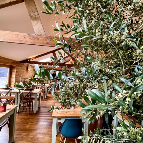 Green Maddings Restaurant Setting